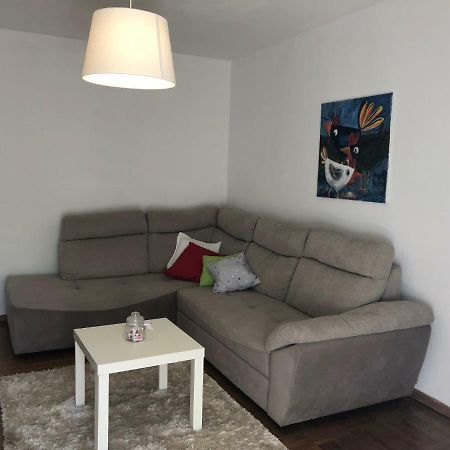 Apartment Safran Новиград Экстерьер фото
