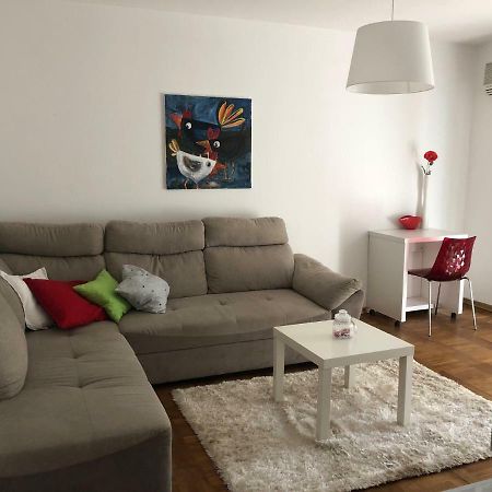 Apartment Safran Новиград Экстерьер фото