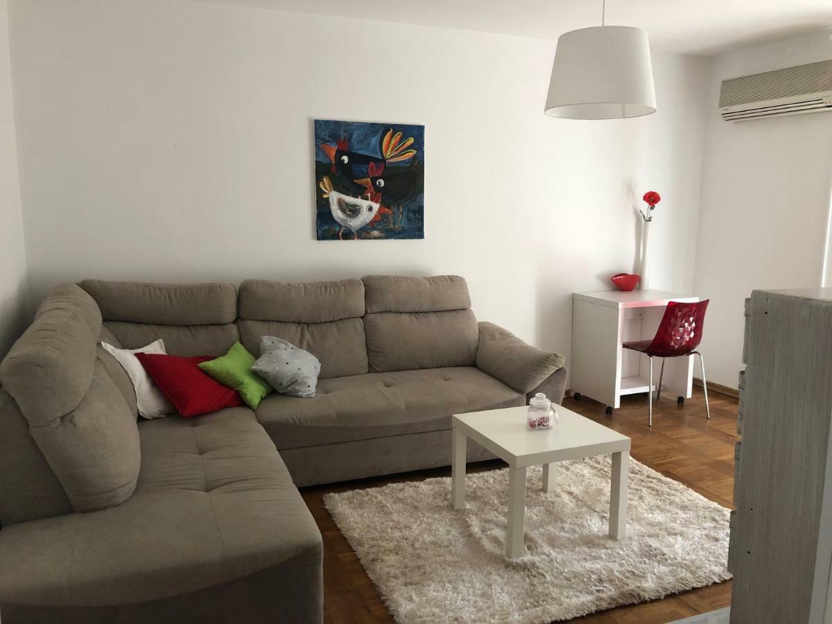 Apartment Safran Новиград Экстерьер фото